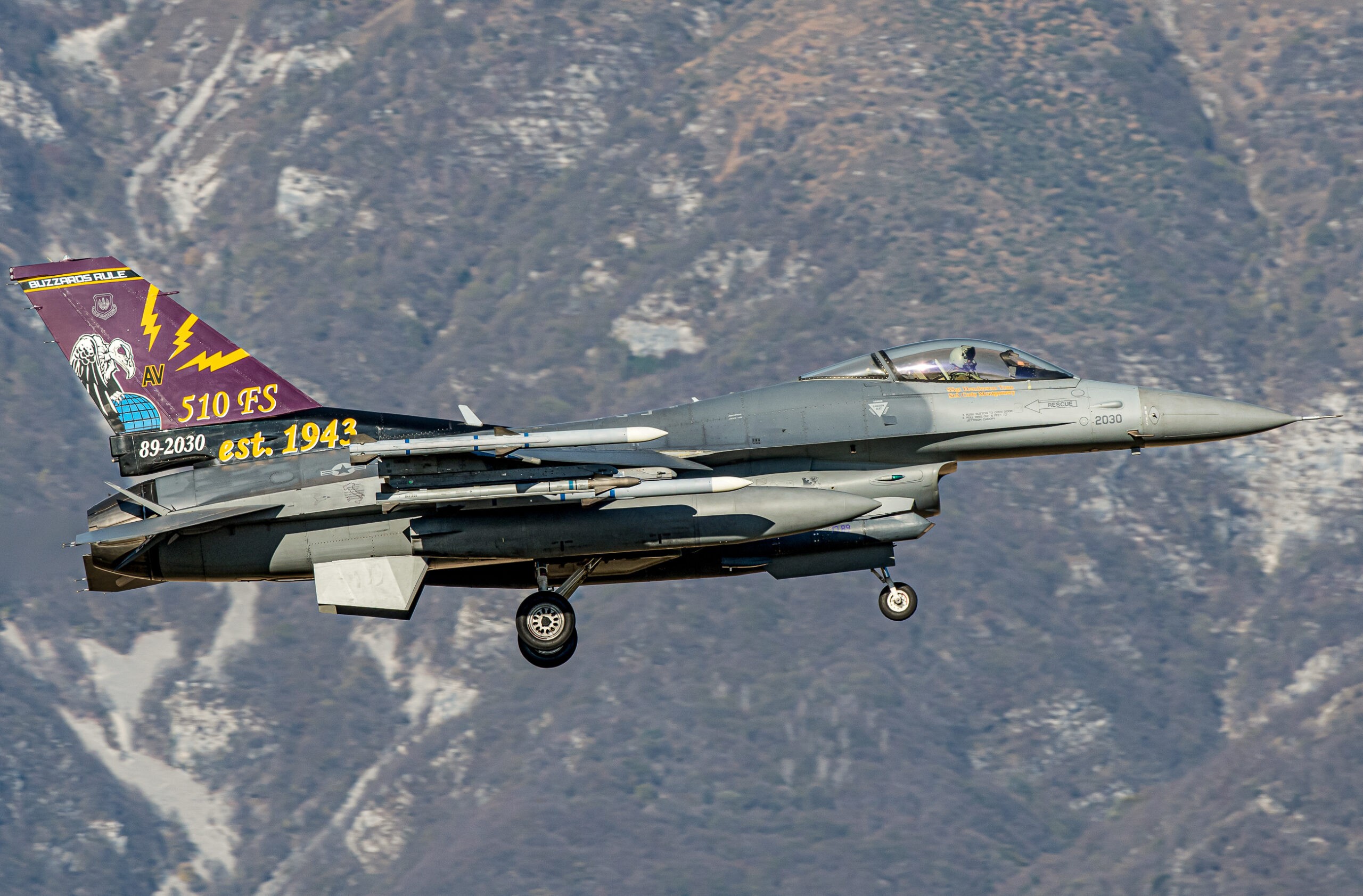 89-2030/AV F-16CM-40CF 510th FS/31st FW 510th FS Special color USAF Aeroporto Militare "Pagliano e Gori” - Aviano 21/11/2024 Foto: Graziano Fantin